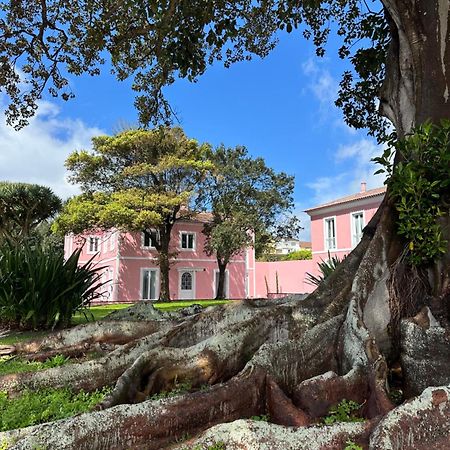 Solar Dos Cantos Botanic House & Garden Ponta Delgada 외부 사진