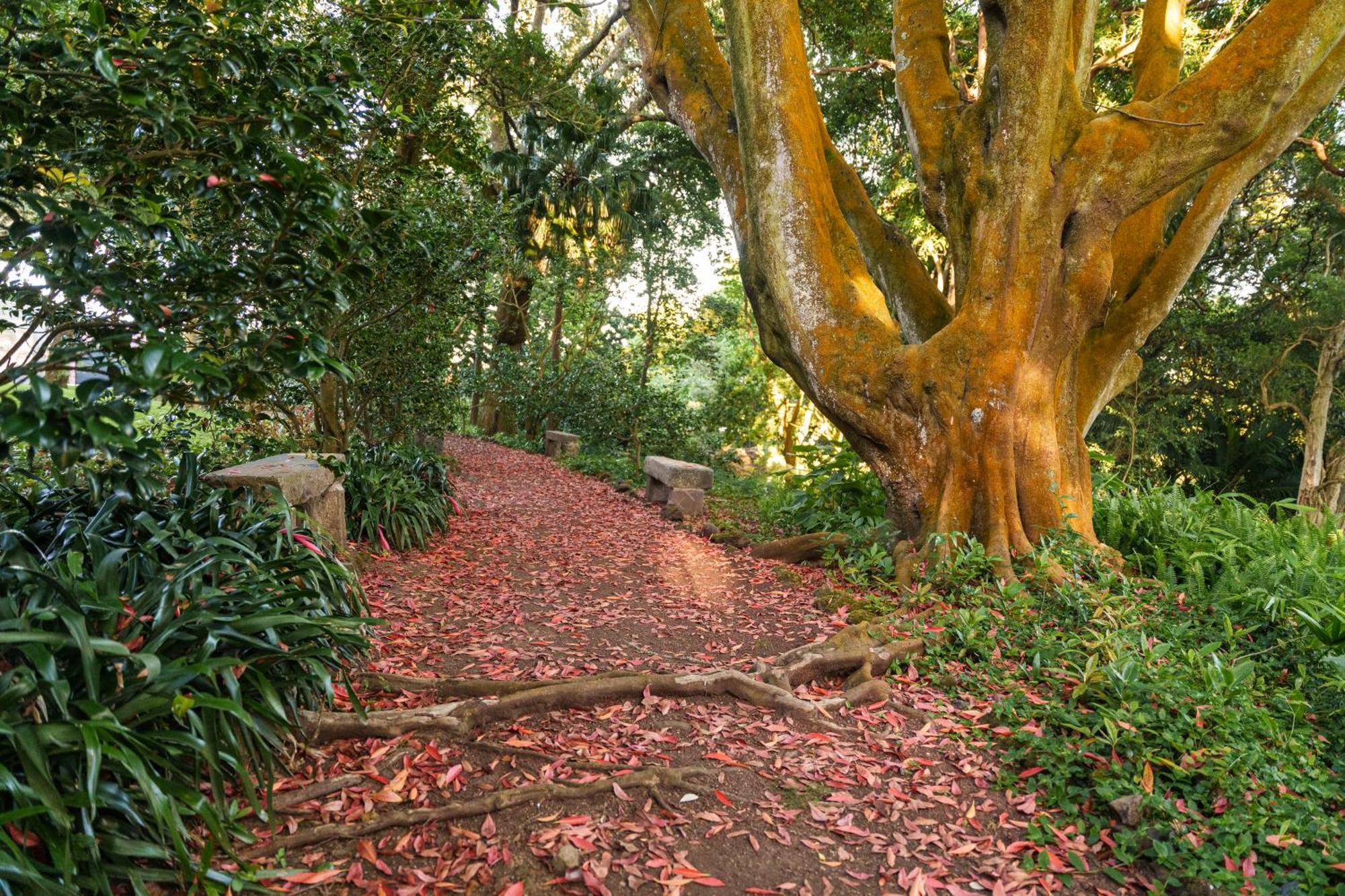 Solar Dos Cantos Botanic House & Garden Ponta Delgada 외부 사진