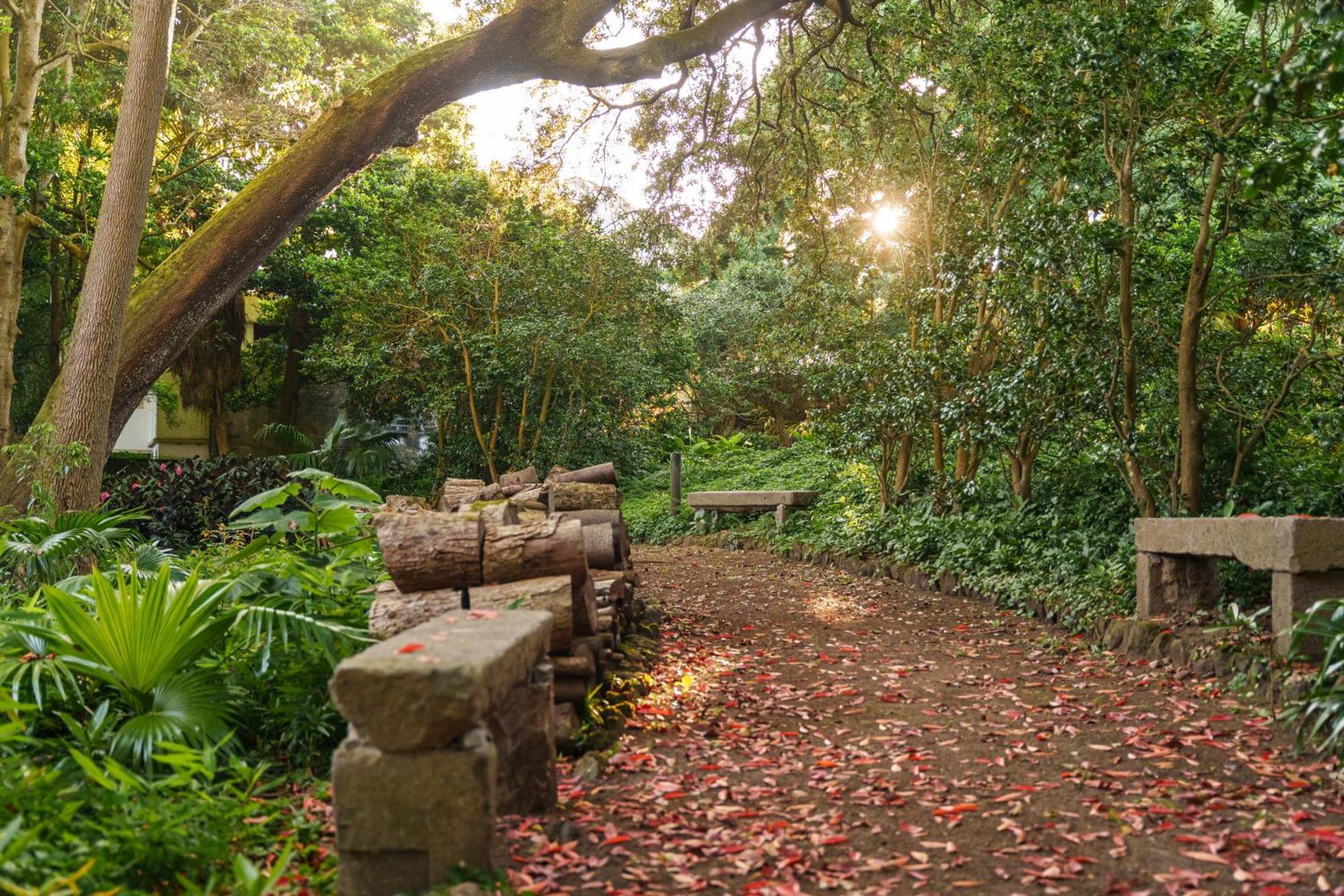 Solar Dos Cantos Botanic House & Garden Ponta Delgada 외부 사진